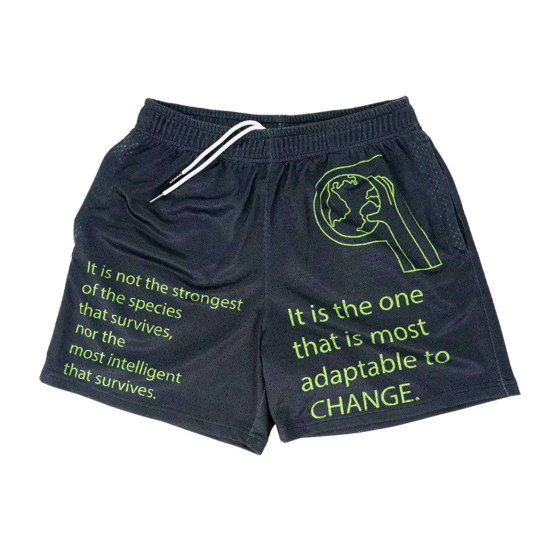 Adapt Mesh Short